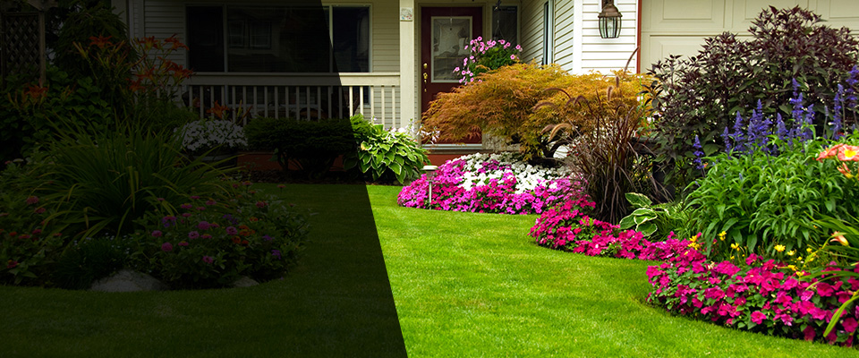 Cortez Landscapers